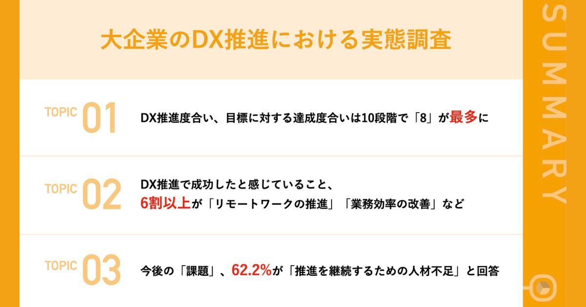 【無料ダウンロード】大規模調査：大企業のDX推進担当に聞く、DXの現在地は？